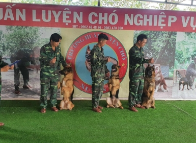 DỊCH VỤ HUẤN LUYỆN CHÓ NGHIỆP VỤ CHỨNG CHỈ BỘ CÔNG AN