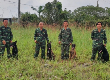 DỊCH VỤ HUẤN LUYỆN CHÓ BECGIE CHỨNG CHỈ BỘ CÔNG AN