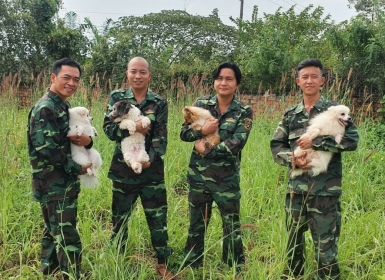 KHOÁ HUẤN LUYỆN CHÓ POODLE BÀI BẢN TỪ A-Z