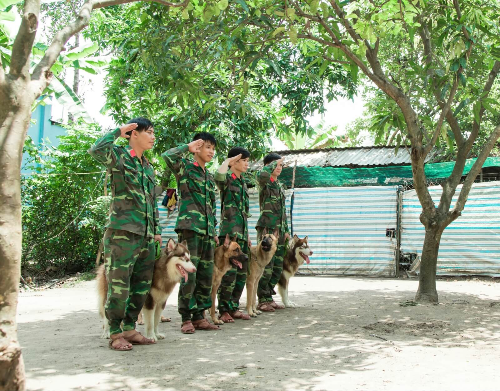 Trường Huấn Luyện Chó Xuyên Á